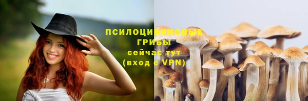 МДПВ Алзамай