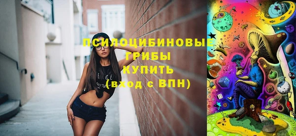 МДПВ Алзамай