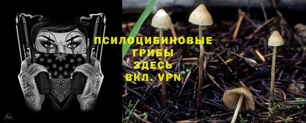 PSILOCYBIN Алексин