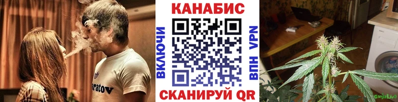 MEGA ссылки  купить наркотики цена  Тогучин  Каннабис индика 